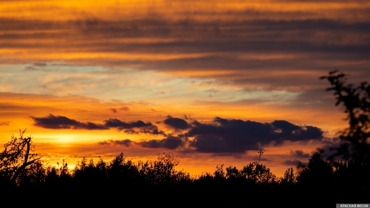     Закат   
Петр Данилов © ИА Красная Весна