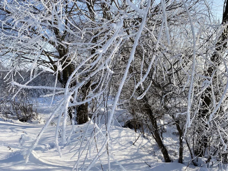     Фото МК в Рязани