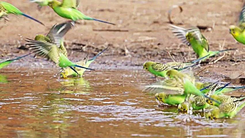 Столько удовольстви!