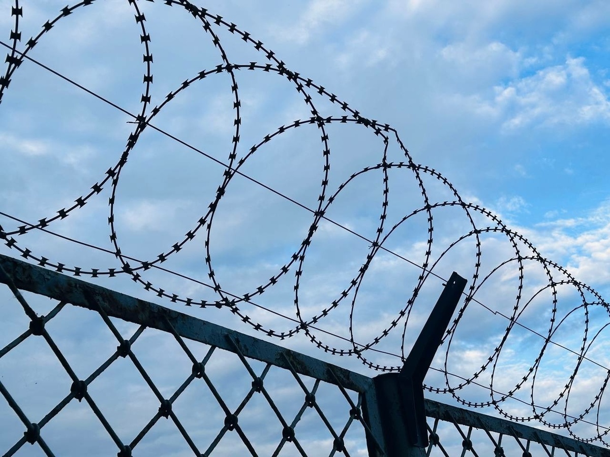 Фото: Neva.Today/Клава Назарова