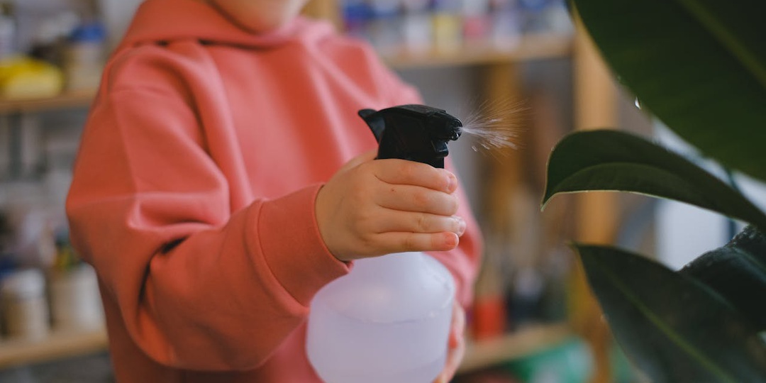 Уход за комнатными растениями вместе с детьми