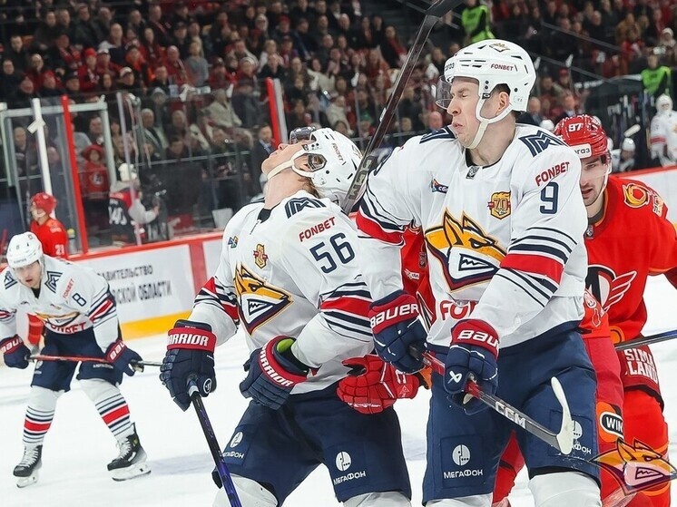     Фото: сайт ХК "Металлург"