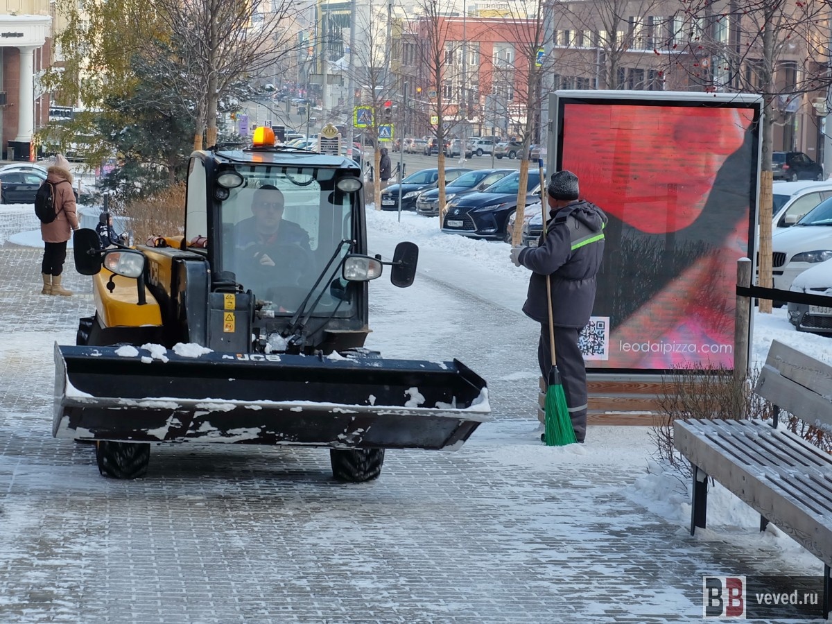     Фото: Владислав Постников / Вечерние ведомости