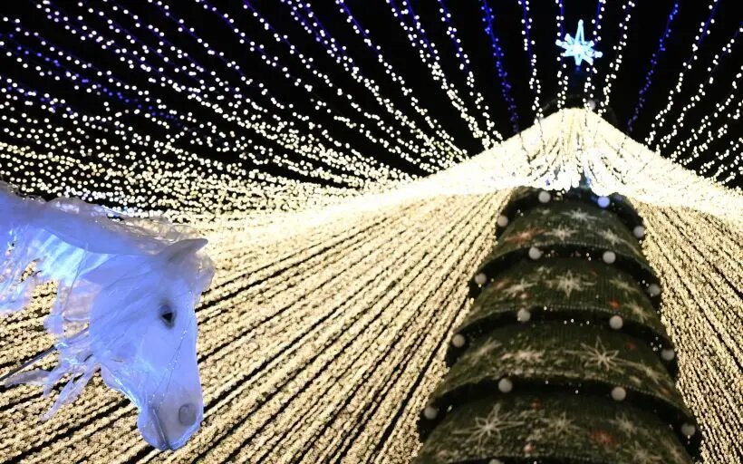     © РИА Новости. Максим Богодвид