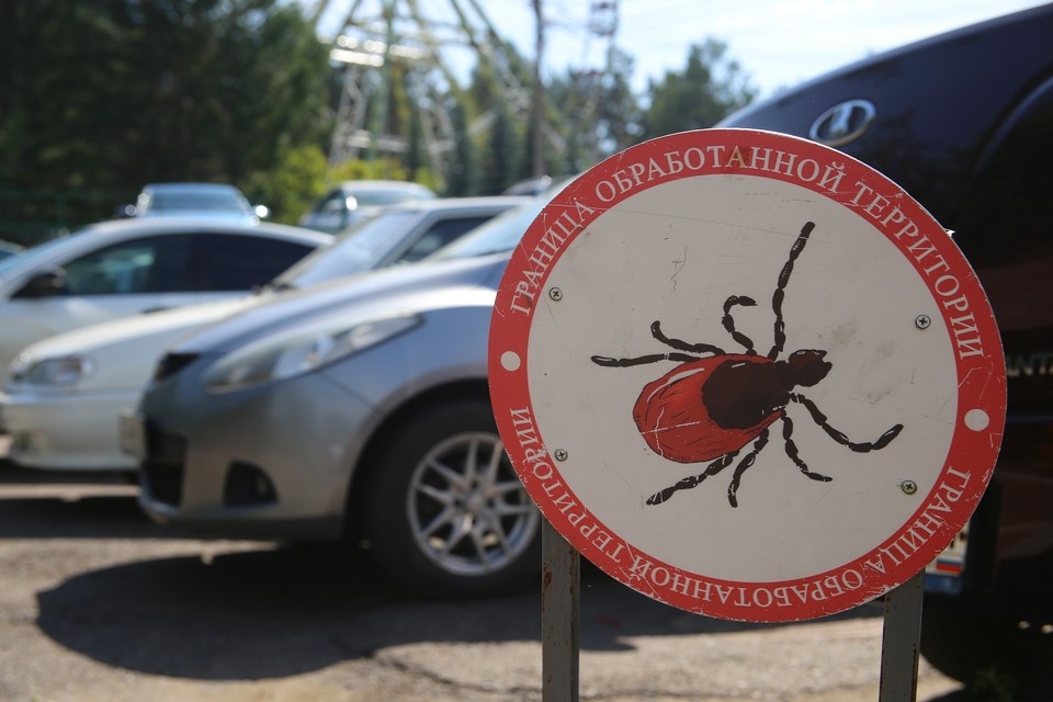   ИВАНОВА Диана