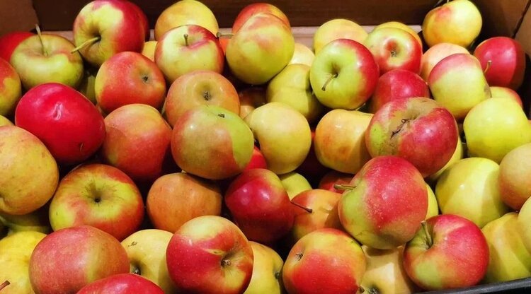    Фото: Лукьянов Дмитрий, AgroXXI.ru