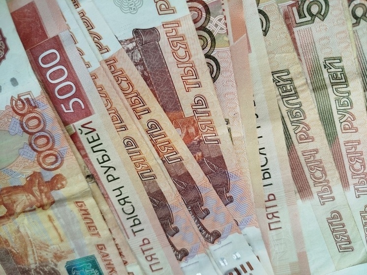     Фото: МК в Черноземье