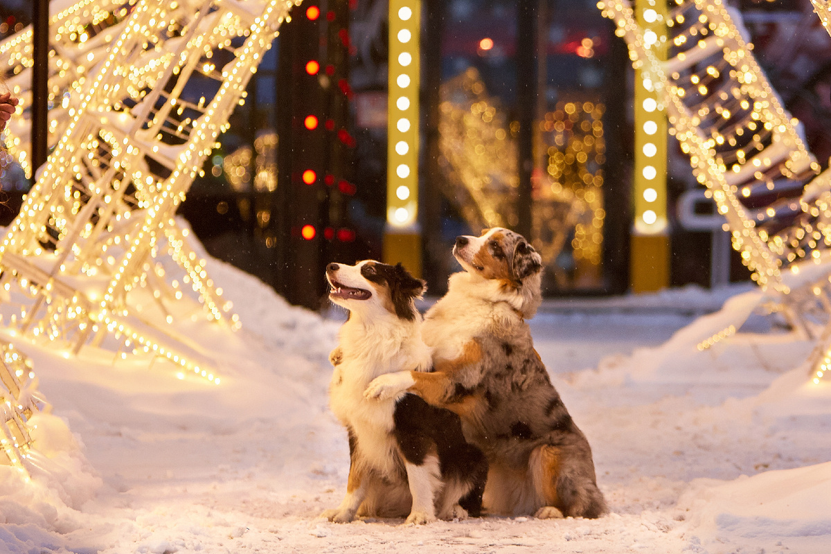 Сладкая парочка