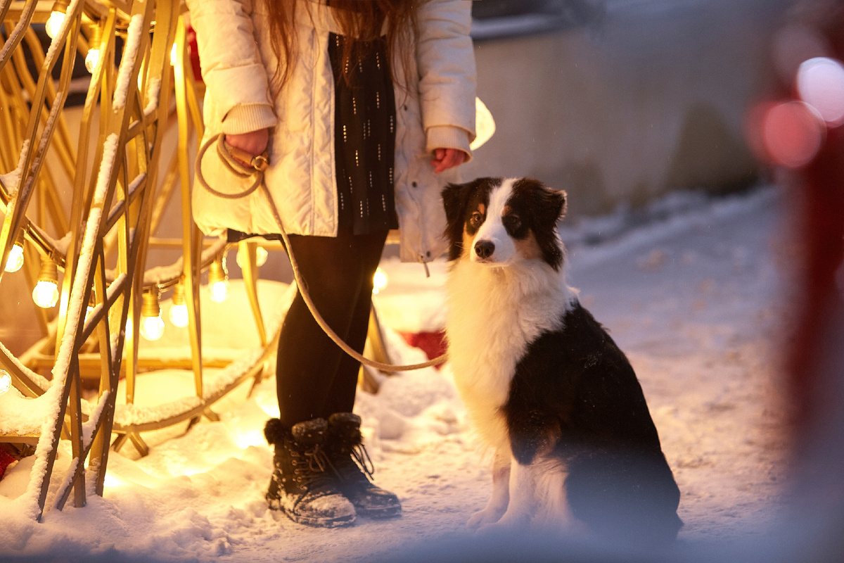Ножки у всех целы!