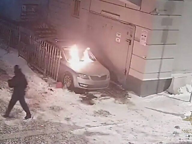    Фото: телеграм-канал "Ирина Волк"