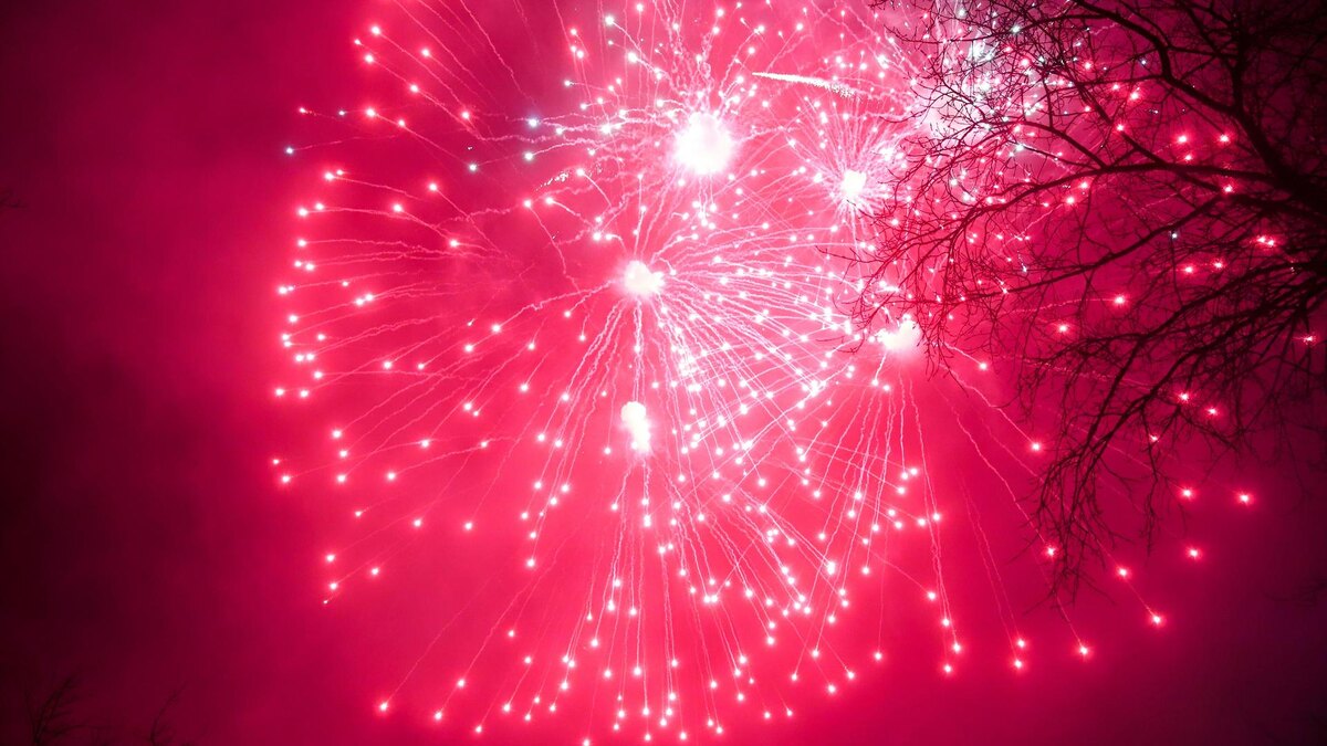    Фото: Razmik Zackaryan/URA.RU