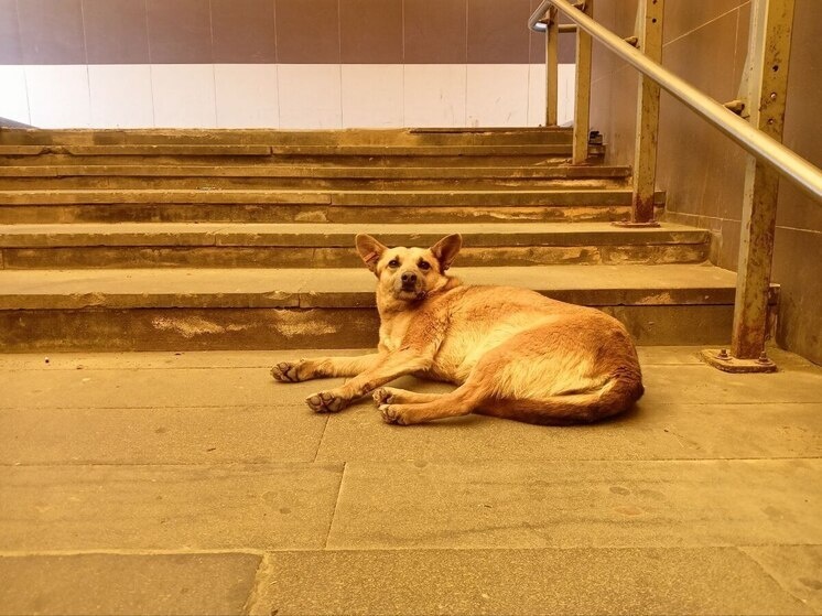     Фото: архив МК в Мурманске.