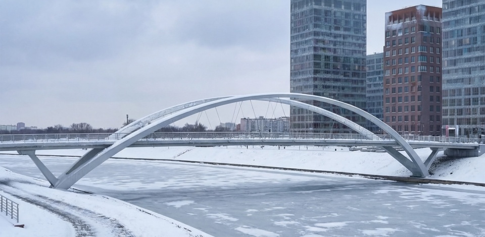     Владимир Ефимов: началось строительство опор арок моста между Мневниковской поймой и районом Крылатское