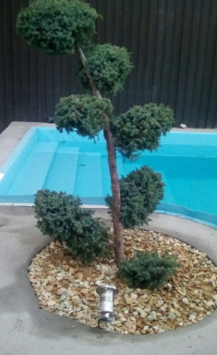 Фото наших работ из собственного архива. 