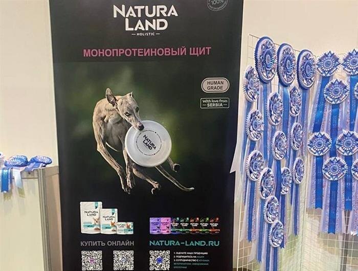    Фото: Ирина Кирюшина