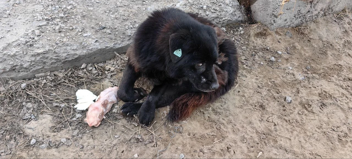 Вскоре вообще помочь мы ничем не сможем, время будет упущенно!