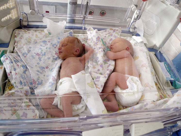     Фото: Геннадий Черкасов