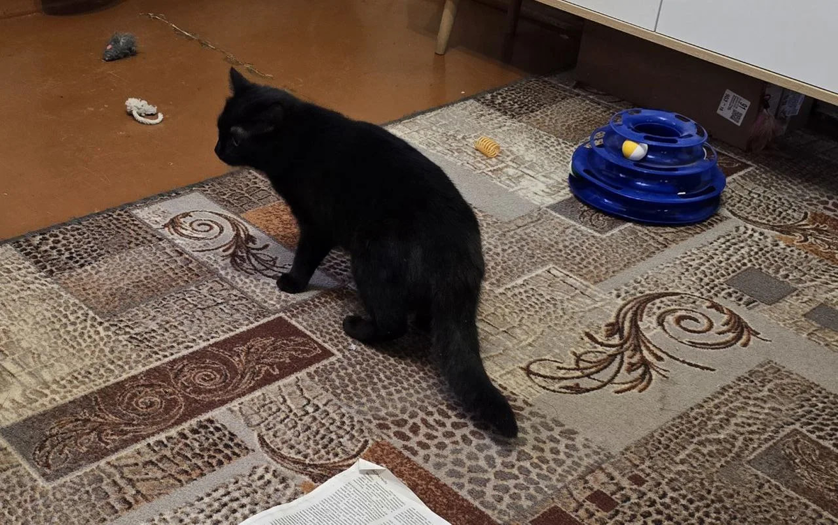 Фото из дома...