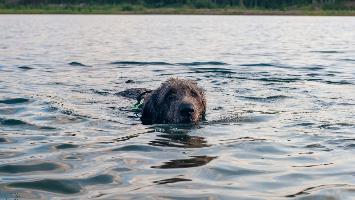    Течение реки может вести себя непредсказуемо. Фото несет иллюстративный характер