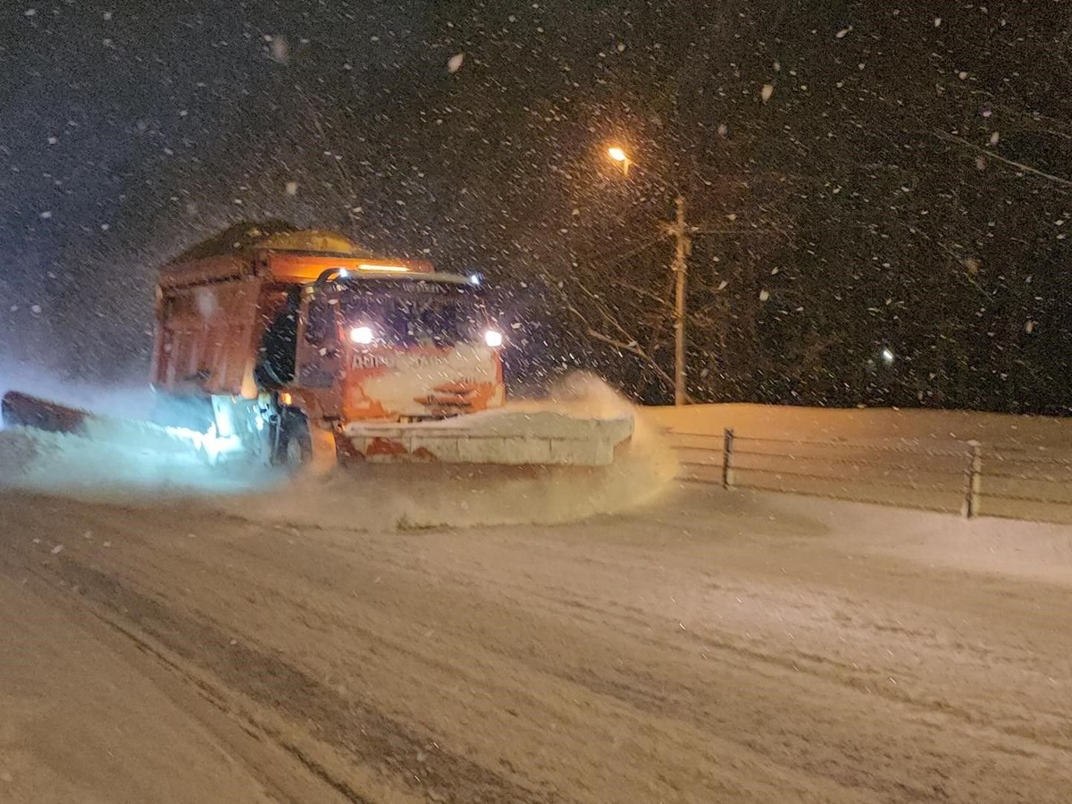    Фото: корреспондент ГАУ МО АИС «Подмосковье»/Екатерина Морозова