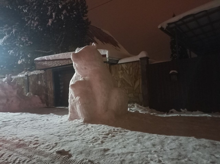     фото: konakovo_news