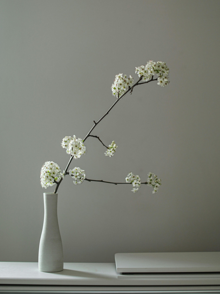 Миндаль. Фото: Cup of Couple