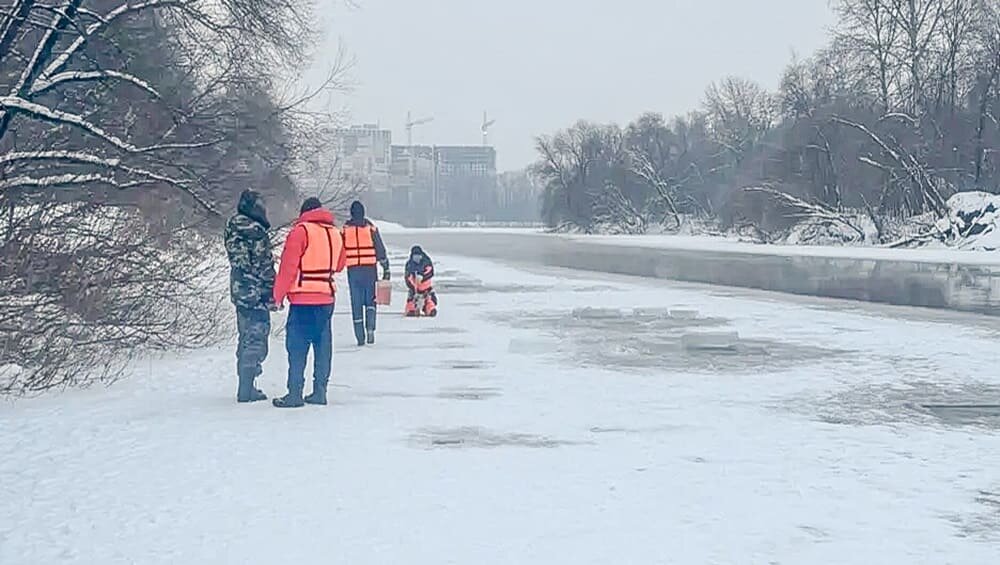    Фото: Брянская городская администрация