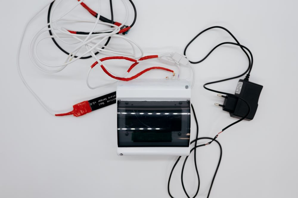    Фото: Виктор Гуськов, nstu.ru