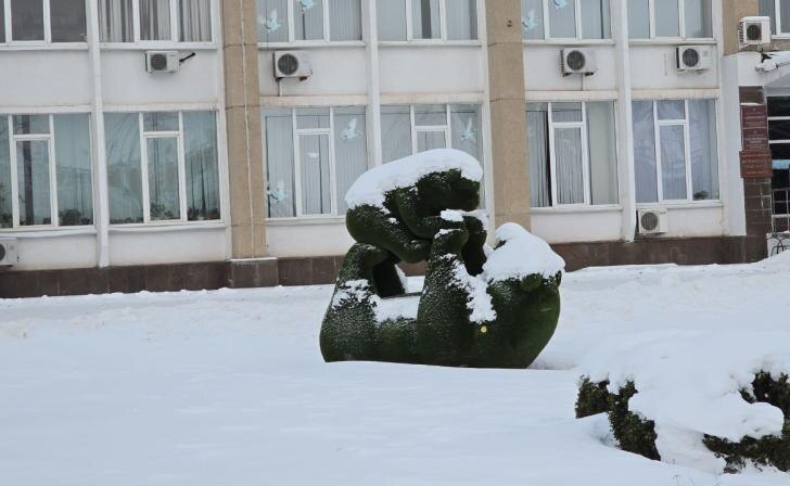    Фото: Сергей Прокопенко