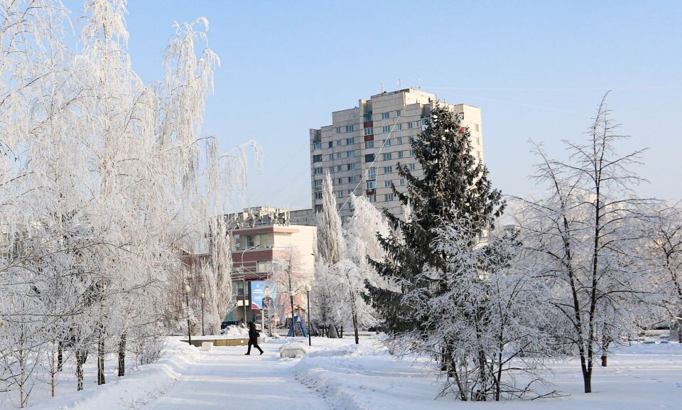    Недвижимость. Барнаул. Зима. Источник: Виталий Барабаш / СИ "Толк"