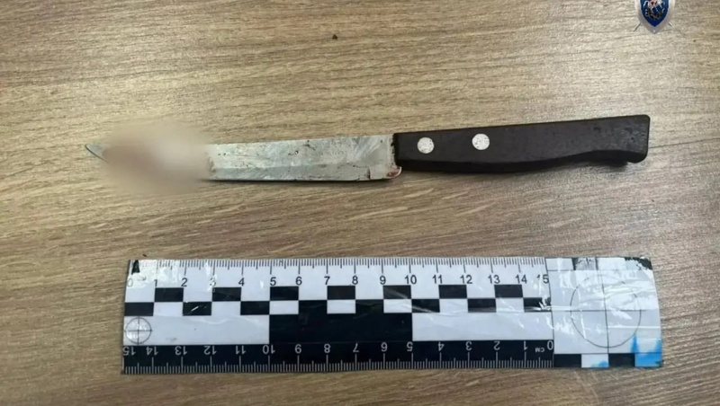      Фото: СУ СК по Ставрополью