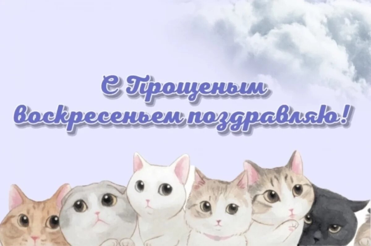    «Прости меня!»