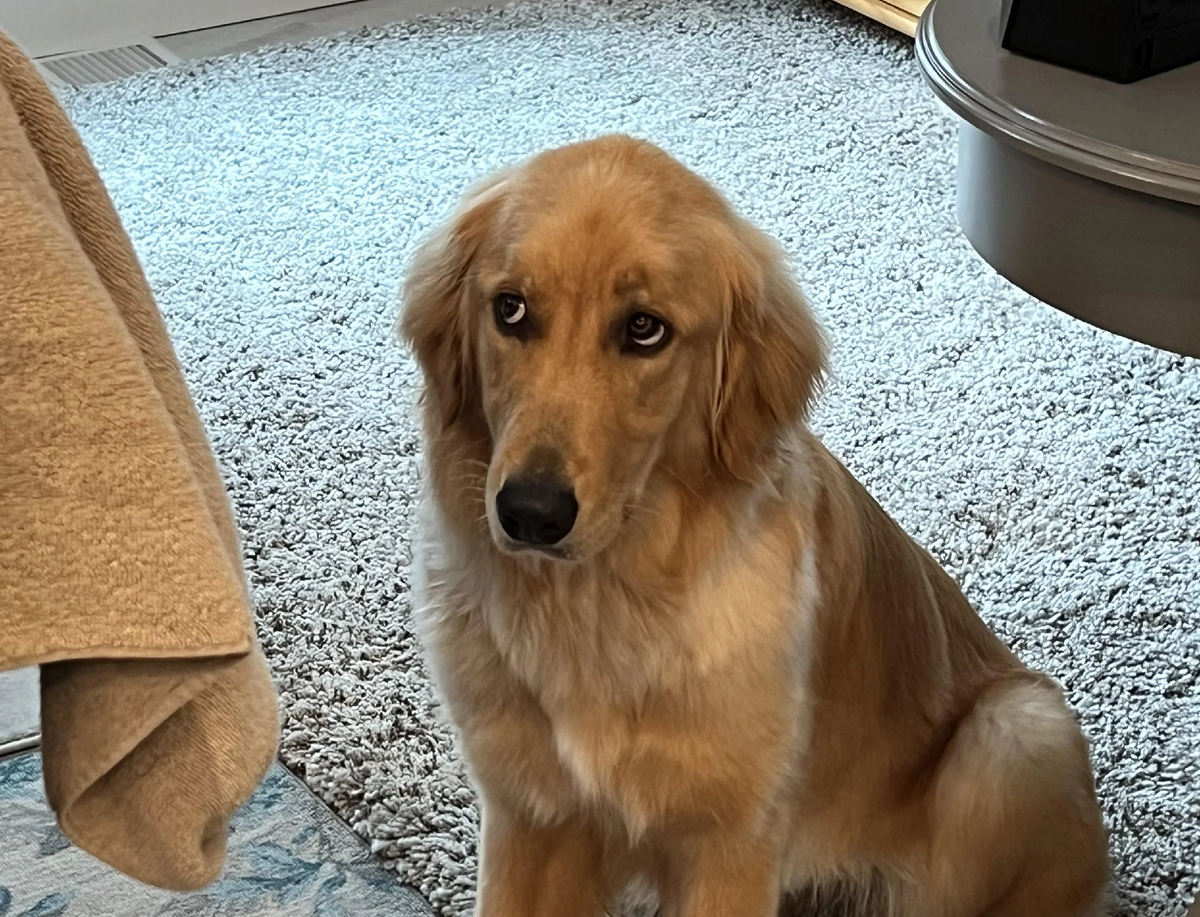 Побаивается еще немного