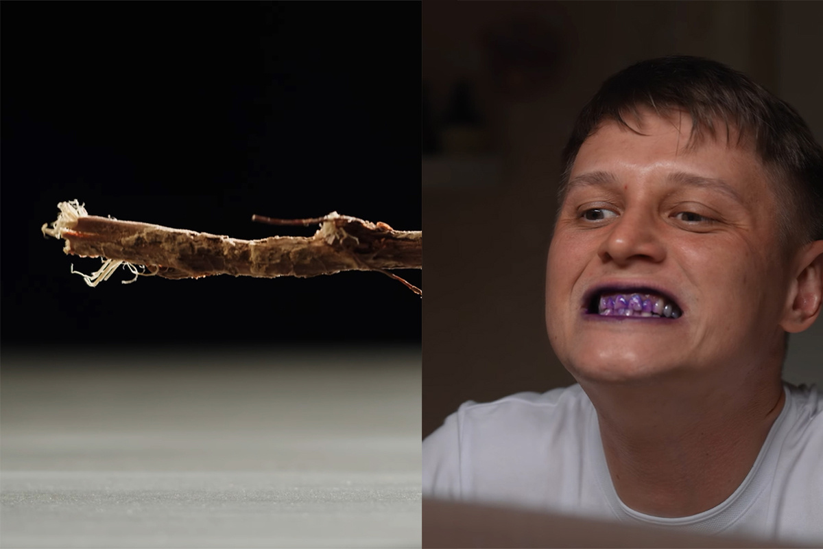 Скриншот видео