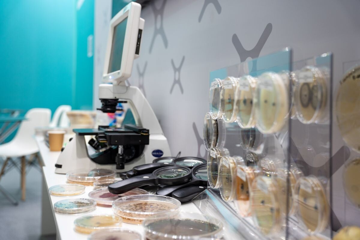 Фото: Александр Плонский / «Агроэксперт»