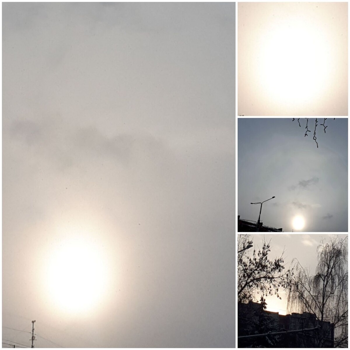 Коллаж автроа статьи 20.02.2026г.