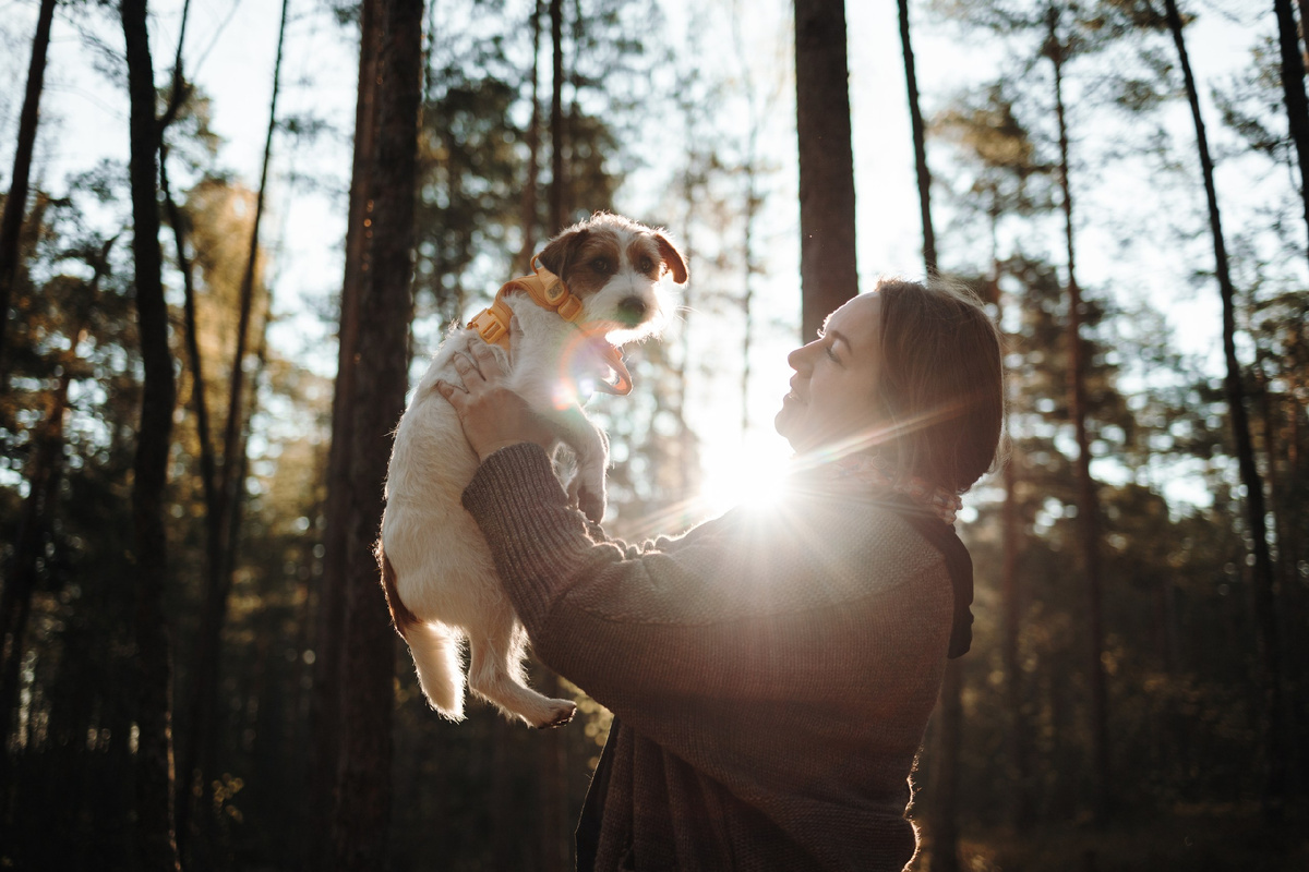 Маленькая Мята, мой пушистый антидепрессант