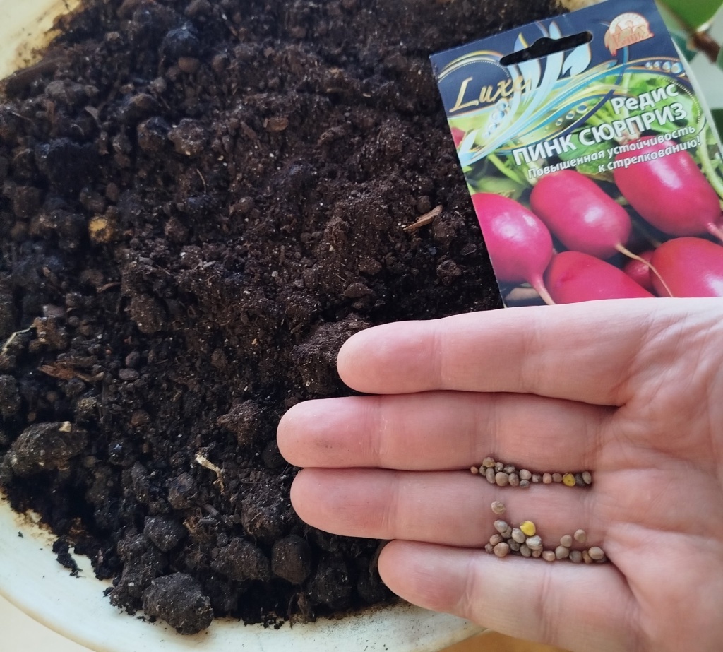  Сеем редис