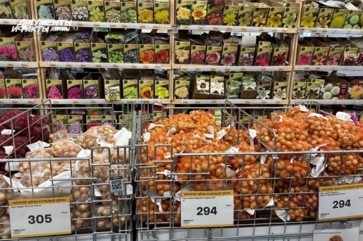    Красноярцам рассказали, как выбрать качественные семена для дачи