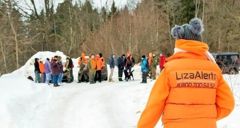    Фото: Лиза Алерт