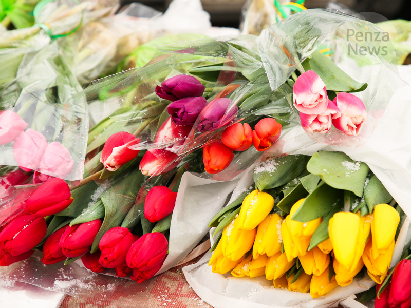    © Фото из архива ИА «PenzaNews»