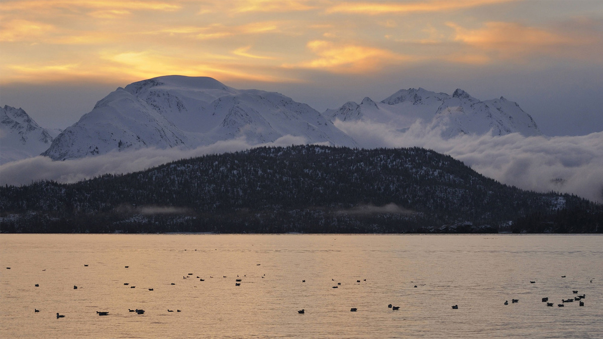    Аляска залив (глп)