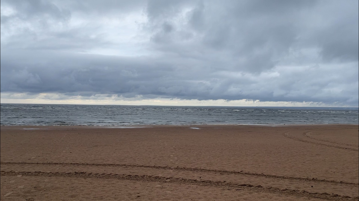 Просторный пляж, чистый песочек, бескрайнее море, облака в тысячи оттенках серого - природа Финского залива /личный архив автора/