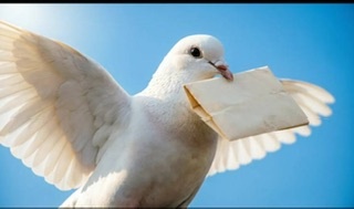 Дофамин: тот самый почтовый голубь