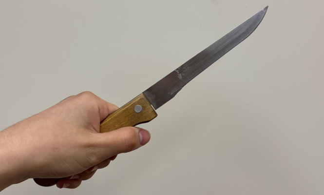    фото: © Столица на Онего