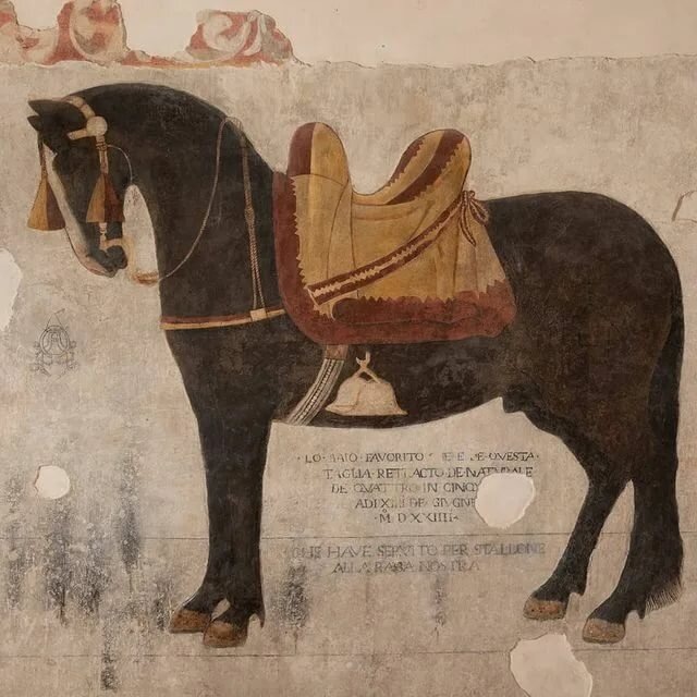 Средневековое средство индивидуальной мобильности.