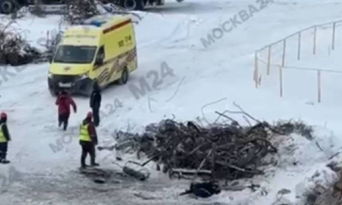    Фото: скриншот видео / Москва 24 / Telegram