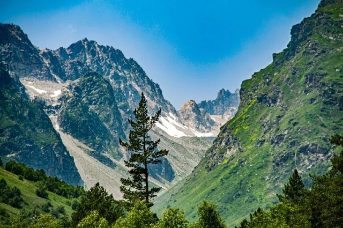    Суд вернул государству земли Тебердинского заповедника