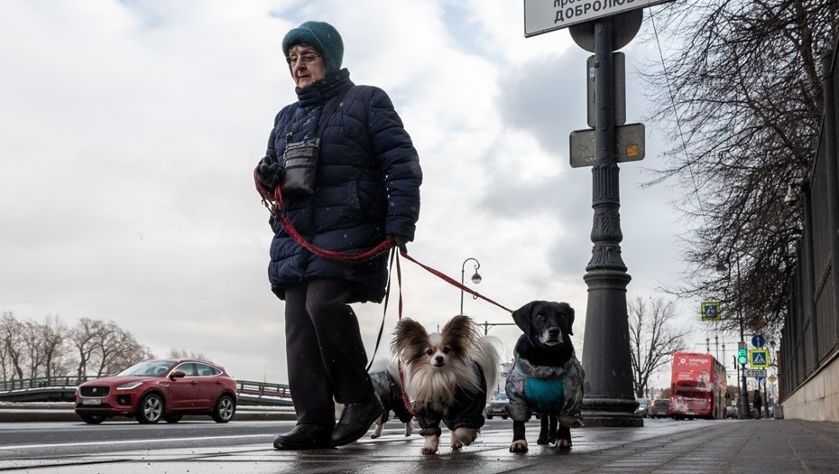 Автор фото: Мартьян Фролов / "ДП"