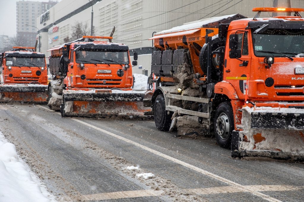 Фотобанк Лори